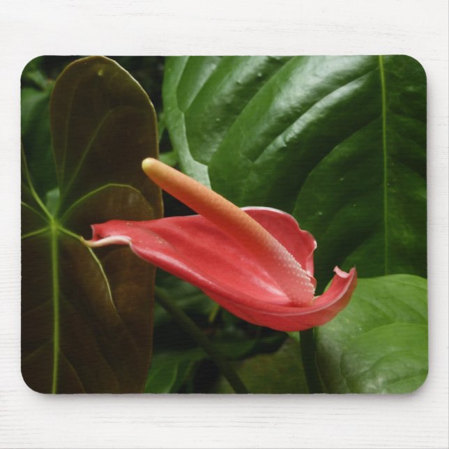 Tapis De Souris Calla Rose Lily Élégant Floral (Devant)
