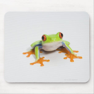 Tapis De Souris Callidryas d'Agalychnis sur l'arrière - plan blan