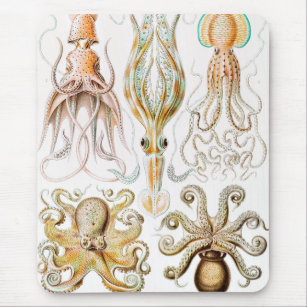 Tapis De Souris Calmar de poulpe, Gamochonia par Ernst Haeckel