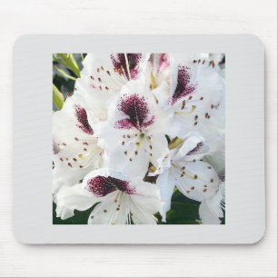 Tapis De Souris Calsap Rhododendrons