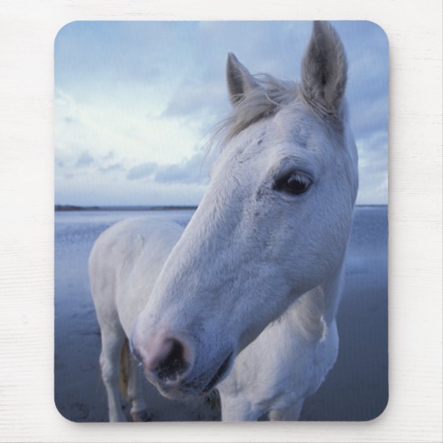 Tapis De Souris Camargue Horse (Devant)