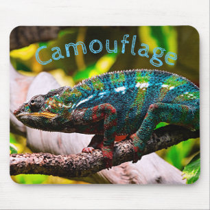 Tapis De Souris Caméléon coloré