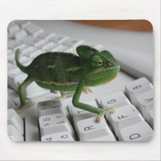 Tapis De Souris Caméléon sur le clavier