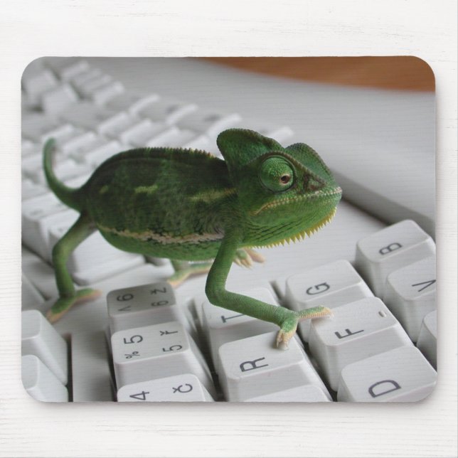 Tapis De Souris Caméléon sur le clavier (Devant)