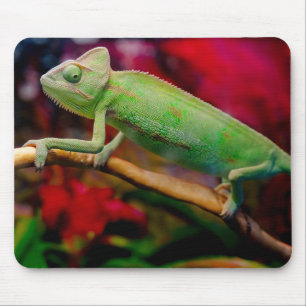 Tapis De Souris Caméléon vert sur la branche
