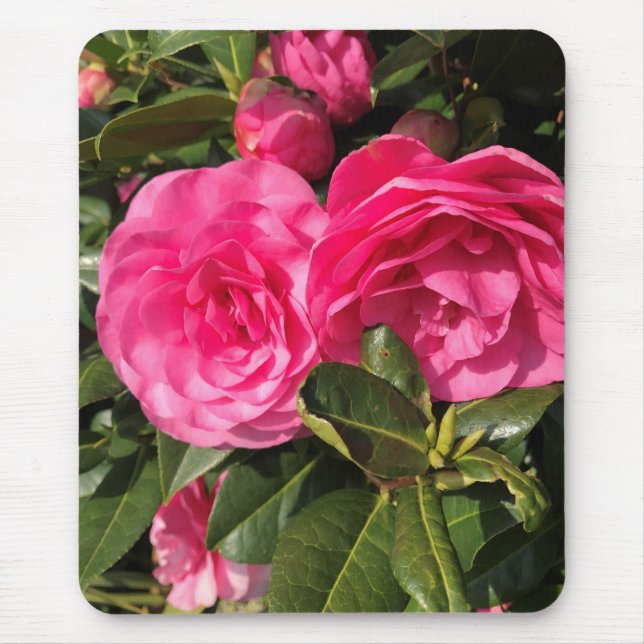Tapis De Souris Camellia rose (Devant)