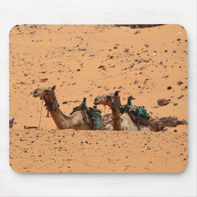 Tapis De Souris Camels (Devant)