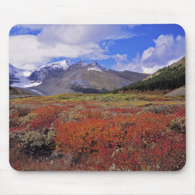 Tapis De Souris Canada, Alberta, Parc national de Banff. Les airel (Devant)