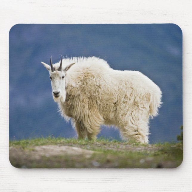 Tapis De Souris Canada, Alberta, parc national de Jasper, (Devant)