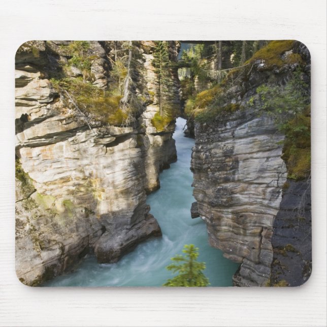 Tapis De Souris Canada, Alberta, parc national de Jasper, Athabasc (Devant)