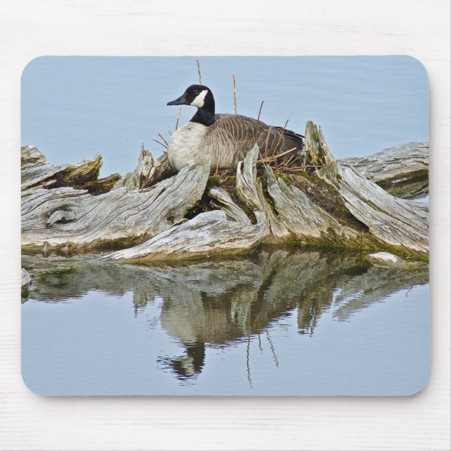 Tapis De Souris Canada Goose (Devant)