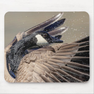 Tapis De Souris Canada Goose