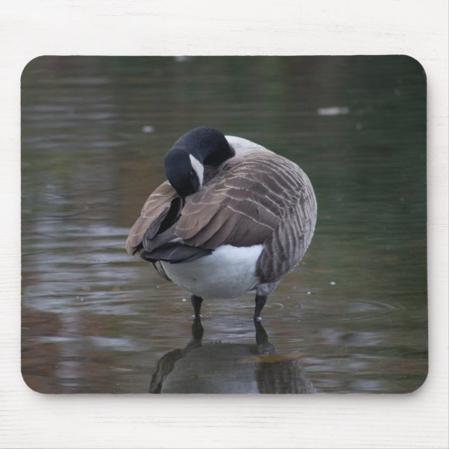 Tapis De Souris Canada Goose (Devant)