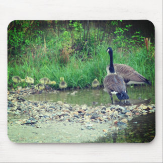 Tapis De Souris Canada Goose Family Baby Nature