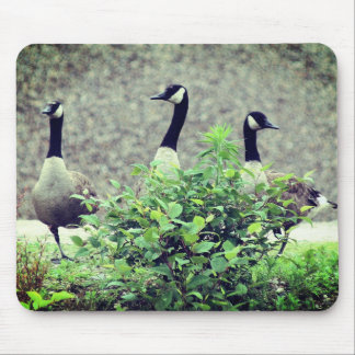 Tapis De Souris Canada Goose Trio Nature