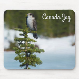 Tapis De Souris Canada Jay