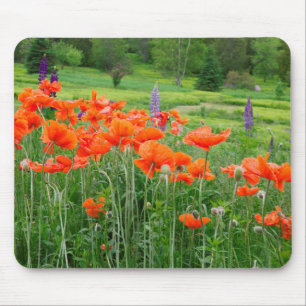Tapis De Souris Canada, Nouveau-Brunswick, . Paysage