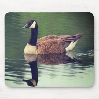 Tapis De Souris Canada Oies Reflections Nature