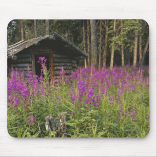 Tapis De Souris Canada, Yukon, région de Ross River, cabane abando