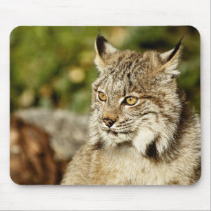 Tapis De Souris Canadien Lynx