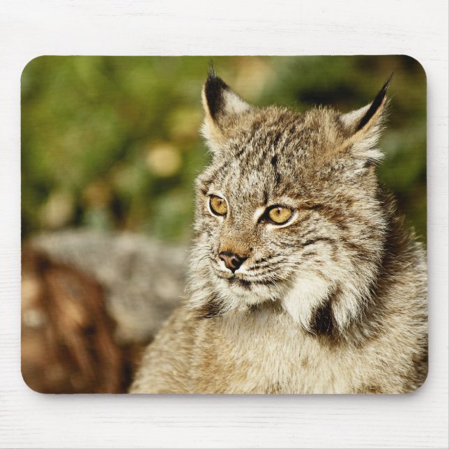 Tapis De Souris Canadien Lynx (Devant)