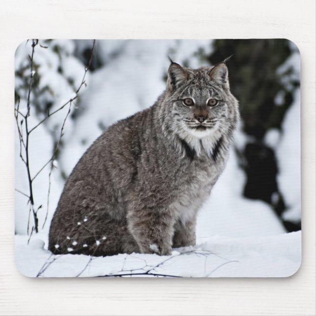 Tapis De Souris Canadien Lynx dans la neige (Devant)
