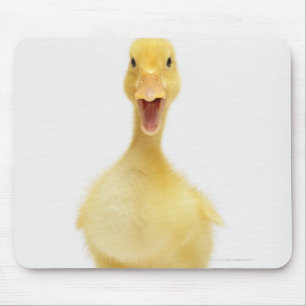Tapis De Souris Canard