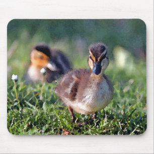 Tapis De Souris Canard