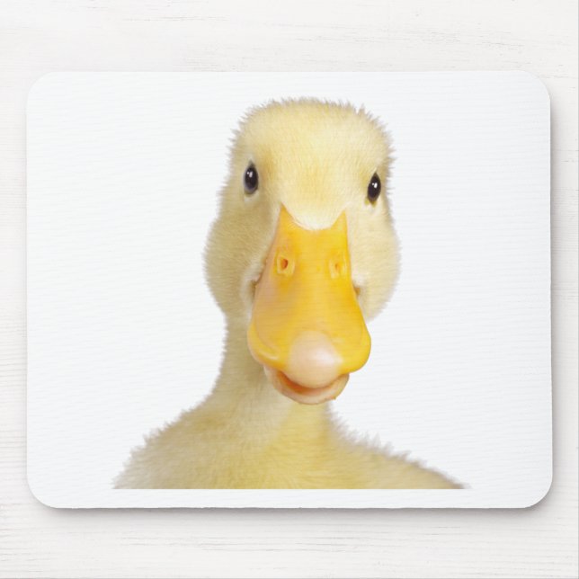 Tapis De Souris Canard (Devant)