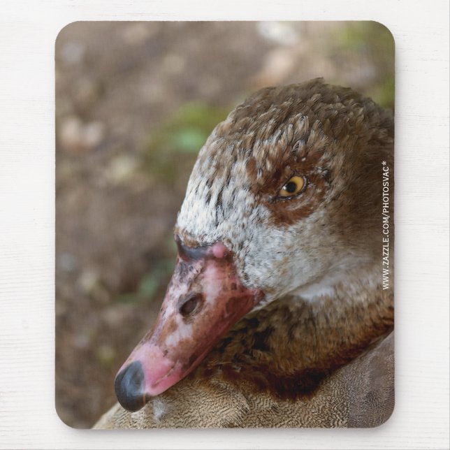 Tapis De Souris Canard (Devant)