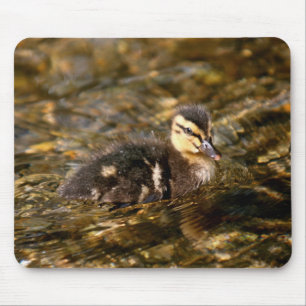 Tapis De Souris Canard