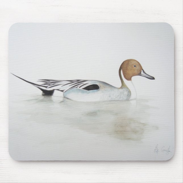 Tapis De Souris Canard 2011 de canard pilet (Devant)