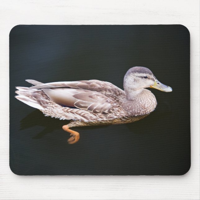 Tapis De Souris Canard 907b (Devant)