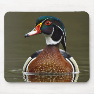 Tapis De Souris Canard à bois sur l'eau