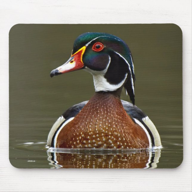 Tapis De Souris Canard à bois sur l'eau (Devant)