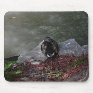 Tapis De Souris Canard de sommeil