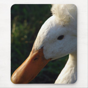 Tapis De Souris Canard en cage