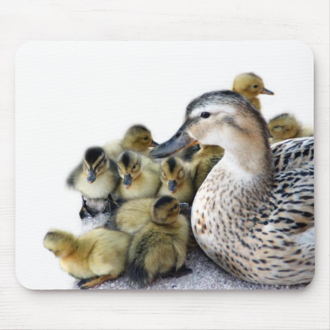 Tapis De Souris Canard et canetons sauvages de mère (Devant)