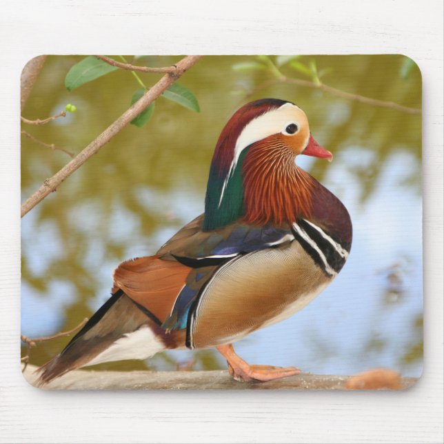 Tapis De Souris Canard mandarin (Devant)