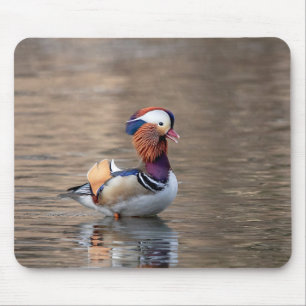 Tapis De Souris Canard mandarin