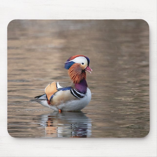 Tapis De Souris Canard mandarin (Devant)