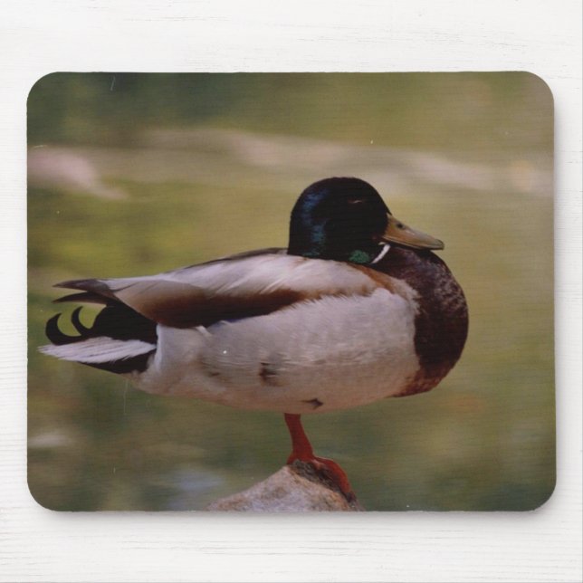 Tapis De Souris Canard Mousepad (Devant)