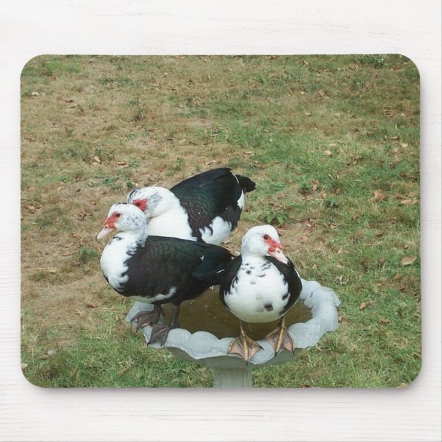 Tapis De Souris Canard Mousepad (Devant)
