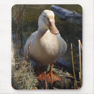 Tapis De Souris Canard Mousepad de la Saxe