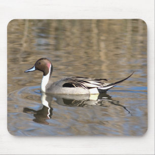 Tapis De Souris Canard pilet nage dans un étang