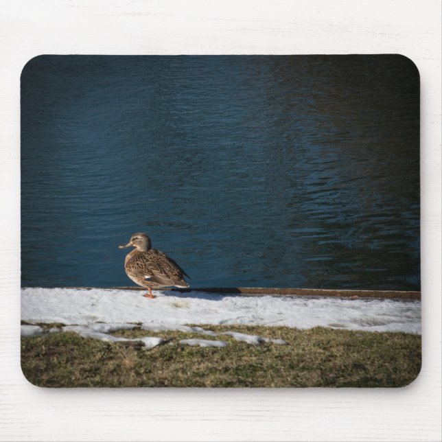 Tapis De Souris Canard solitaire (Devant)