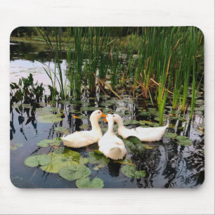 Tapis De Souris Canards blancs classiques sur le magnifique lac