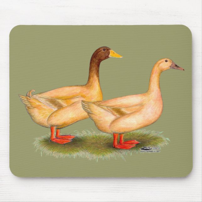 Tapis De Souris Canards : Buff Orpington (Devant)