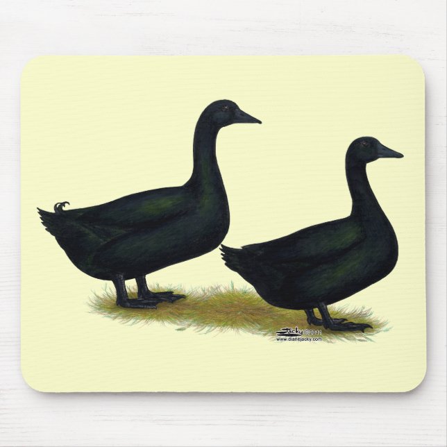 Tapis De Souris Canards : Cayugas noirs (Devant)