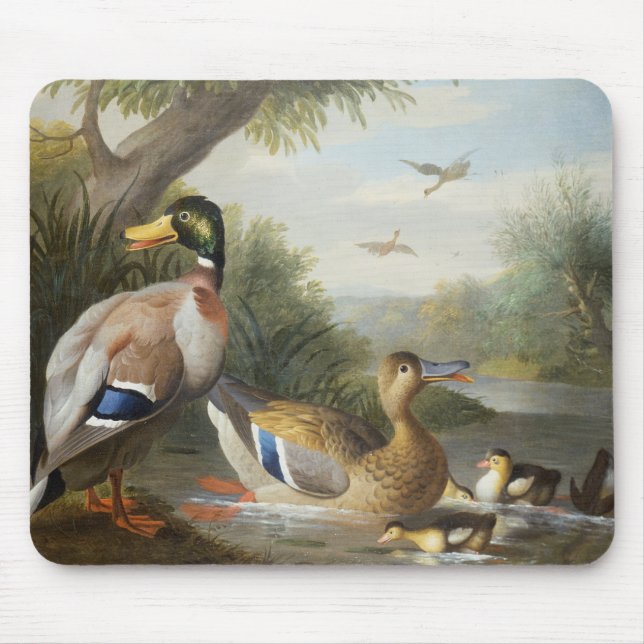 Tapis De Souris Canards dans un paysage de rivière (Devant)